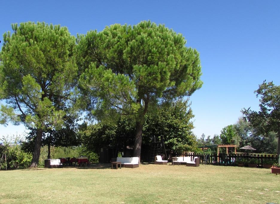 Agriturismo Ca'De'Gatti Faenza Exteriör bild