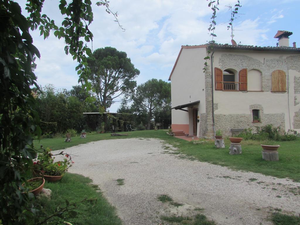 Agriturismo Ca'De'Gatti Faenza Exteriör bild