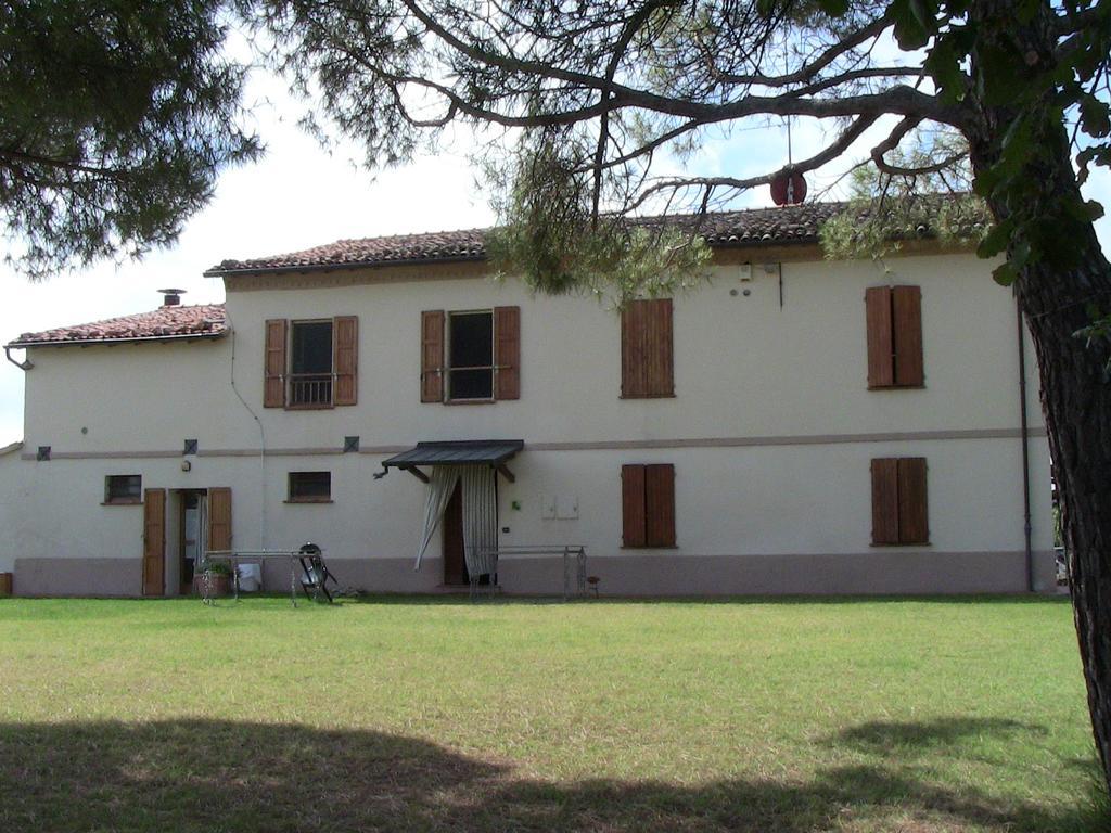Agriturismo Ca'De'Gatti Faenza Exteriör bild