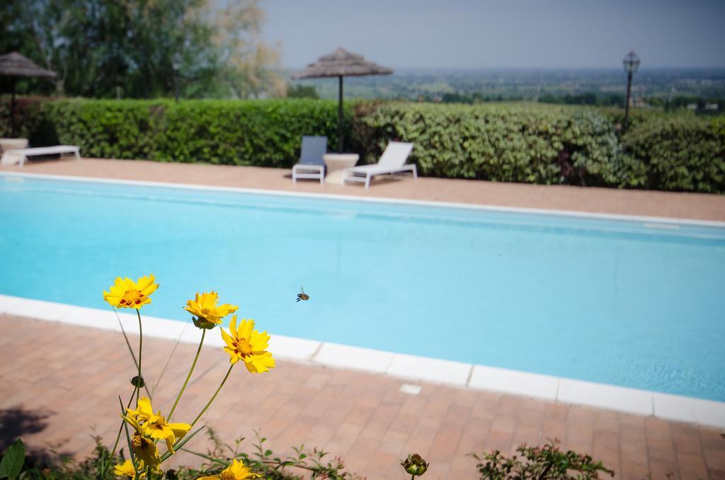 Agriturismo Ca'De'Gatti Faenza Exteriör bild