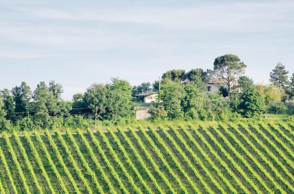 Agriturismo Ca'De'Gatti Faenza Exteriör bild