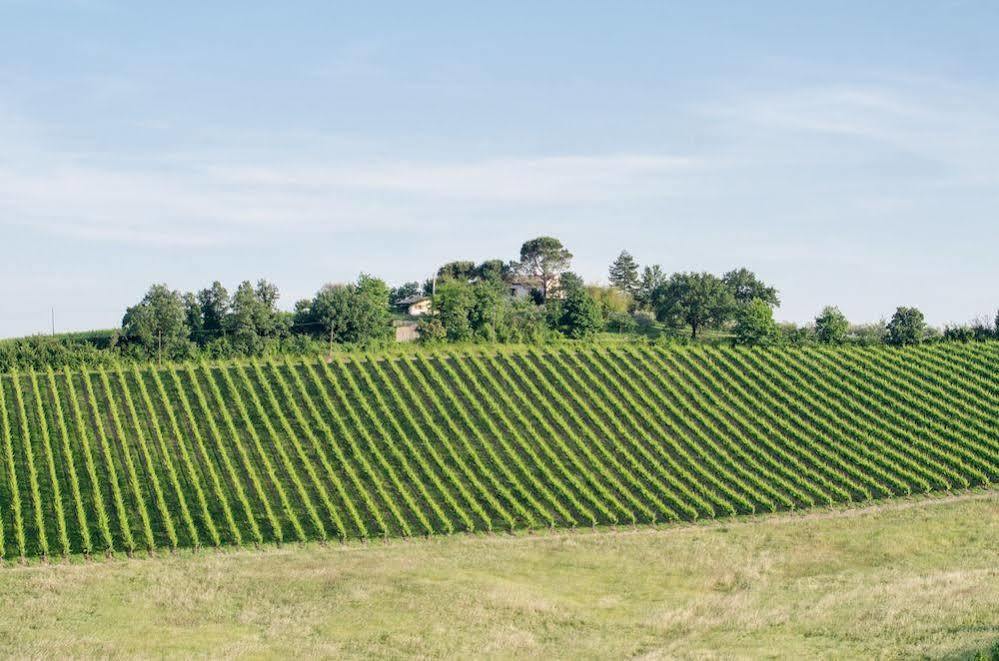 Agriturismo Ca'De'Gatti Faenza Exteriör bild